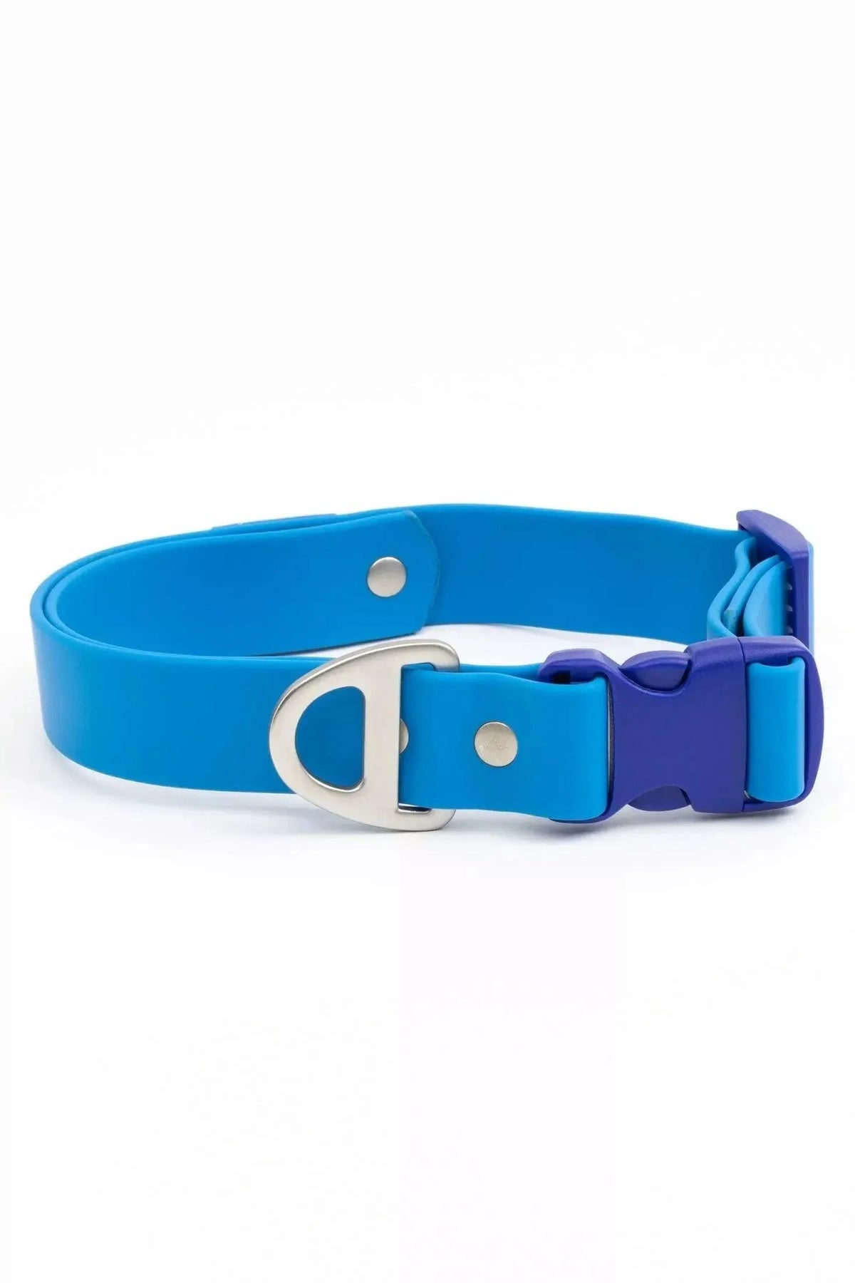 CALVORI Waterproof Dog Collar - Dockside-0